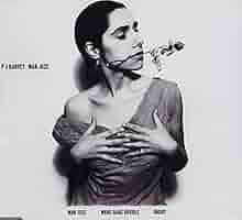 絶版 PJ Harvey 「The Hollow of the Hand」大型本 The Hollow of the Hand by P.J. Harvey | Goodreads